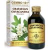Dr. Giorgini G10+ Biancospino Liquido Analcolico 500ml