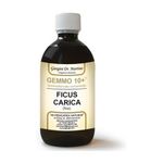 Dr. Giorgini Gemmo 10+ Fico 200ml