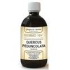 Dr. Giorgini Gemmo 10+ Quercia 500ml