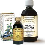 Dr. Giorgini Gemmo 10+ Prugnolo 100ml