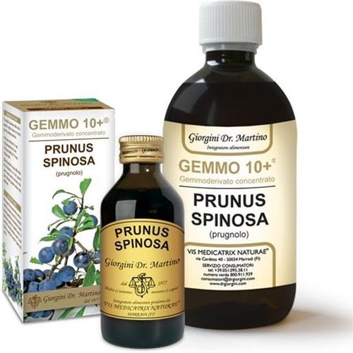 Dr. Giorgini Gemmo 10+ Prugnolo 100ml