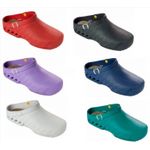 Scholl Clog Evo 41-42