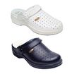 Scholl New Bonus Fori 38
