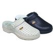 Scholl New Bonus Fori 40