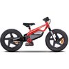 Ducati E-Moto Kids