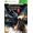 Square Enix Dungeon Siege 3 - Limited Edition Xbox 360