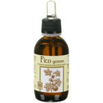 Ecol Ecol Fico Gemme Estratto Analcolico 50ml
