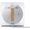 Ecovacs Winbot W1 Pro