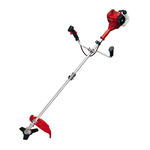 Einhell GC-BC25AS