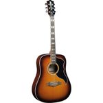 Eko Chitarra Acustica Ranger VI VR Honey Burst