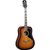 Eko Chitarra Acustica Ranger VI VR Honey Burst