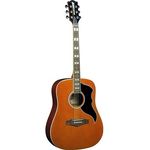 Eko Chitarra Acustica Ranger VI VR Natural Top Stained
