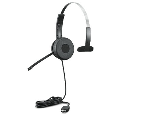 Lenovo 100 Mono