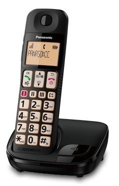 Panasonic KX-TGE310SPB