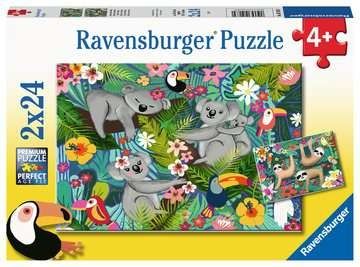 Ravensburger Koala e Bradipi