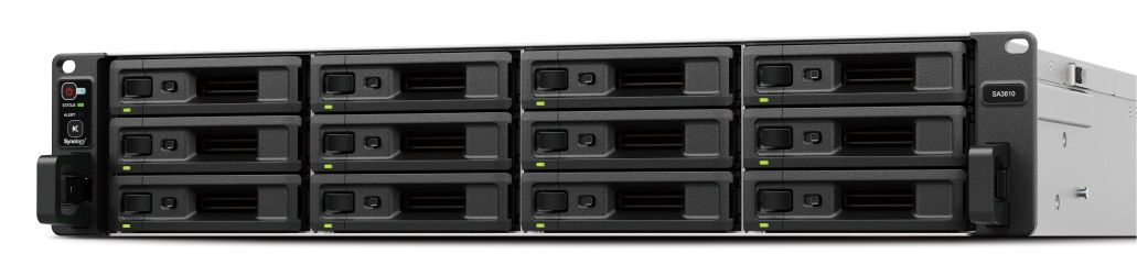 Synology SA3410