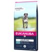 Eukanuba Grain Free Adult Large Giant Cane Salmone Secco 12kg