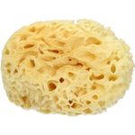 Farmac Zabban Spugna Naturale Mare Grande