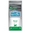 Farmina Vet Life Renal Adult Gatto - secco 2kg