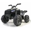 Feber Quad Elettrico Boxer