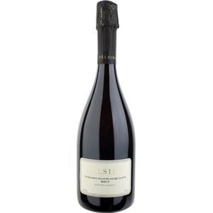 Felsina Brut VSQ