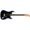 Fender Chitarra elettrica American Professional II Stratocaster Dark Night