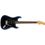 Fender Chitarra elettrica American Professional II Stratocaster