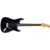 Fender Chitarra elettrica American Professional II Stratocaster Dark Night