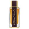 Salvatore Ferragamo Ferragamo Spicy Leather Eau de Parfum 100ml