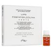 FGM04 Lipo Fosfatidilcolina Forte Olio 10 fiale x 10ml