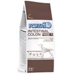 Forza10 Intestinal Colon Fase 1 Adult Cane - secco 4kg