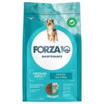 Forza10 Maintenance Medium Adult (Pesce) - secco 12.5Kg