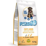 Forza10 Maintenance Puppy & Junior Medium/Large (Pollo E Patate) - secco