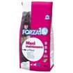 Forza10 Maintenance Maxi