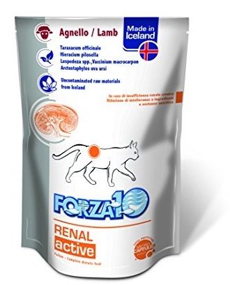 Forza10 Renal Active Adult Gatto - umido 100g