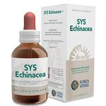 Forza Vitale Sys Echinacea 50ml