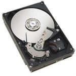 Fujitsu Hard Disk 1TB (S26361-F3951-L100)
