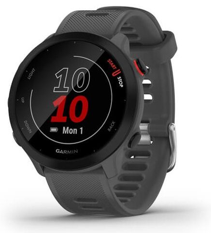 Garmin Forerunner 55 Grigio Monterra