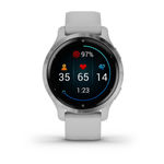 Garmin Venu 2S Grigio Polvere