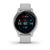 Garmin Venu 2S Grigio Polvere