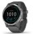 Garmin Vivoactive 4 Grigio