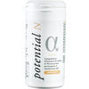 Gefo Nutrition Potential N Alpha 60capsule
