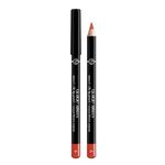 Giorgio Armani Smooth Silk Lip Pencil Matita Labbra 02