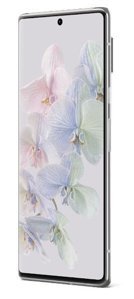 Google Pixel 6 Pro 128GB