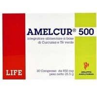 Gruppo Amelfarma Amelcur 500 30 compresse