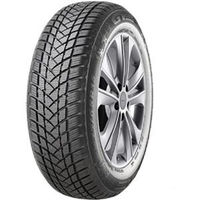 GT Radial Winterpro2 205/60 R16 92H