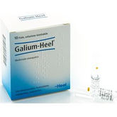 Guna Galium 10 fiale Heel