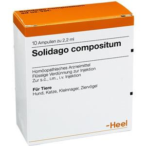 Guna Solidago Compositum 10 fiale
