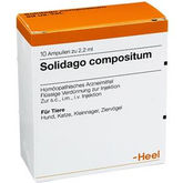 Guna Solidago Compositum 10 fiale