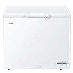 Haier HCE251E